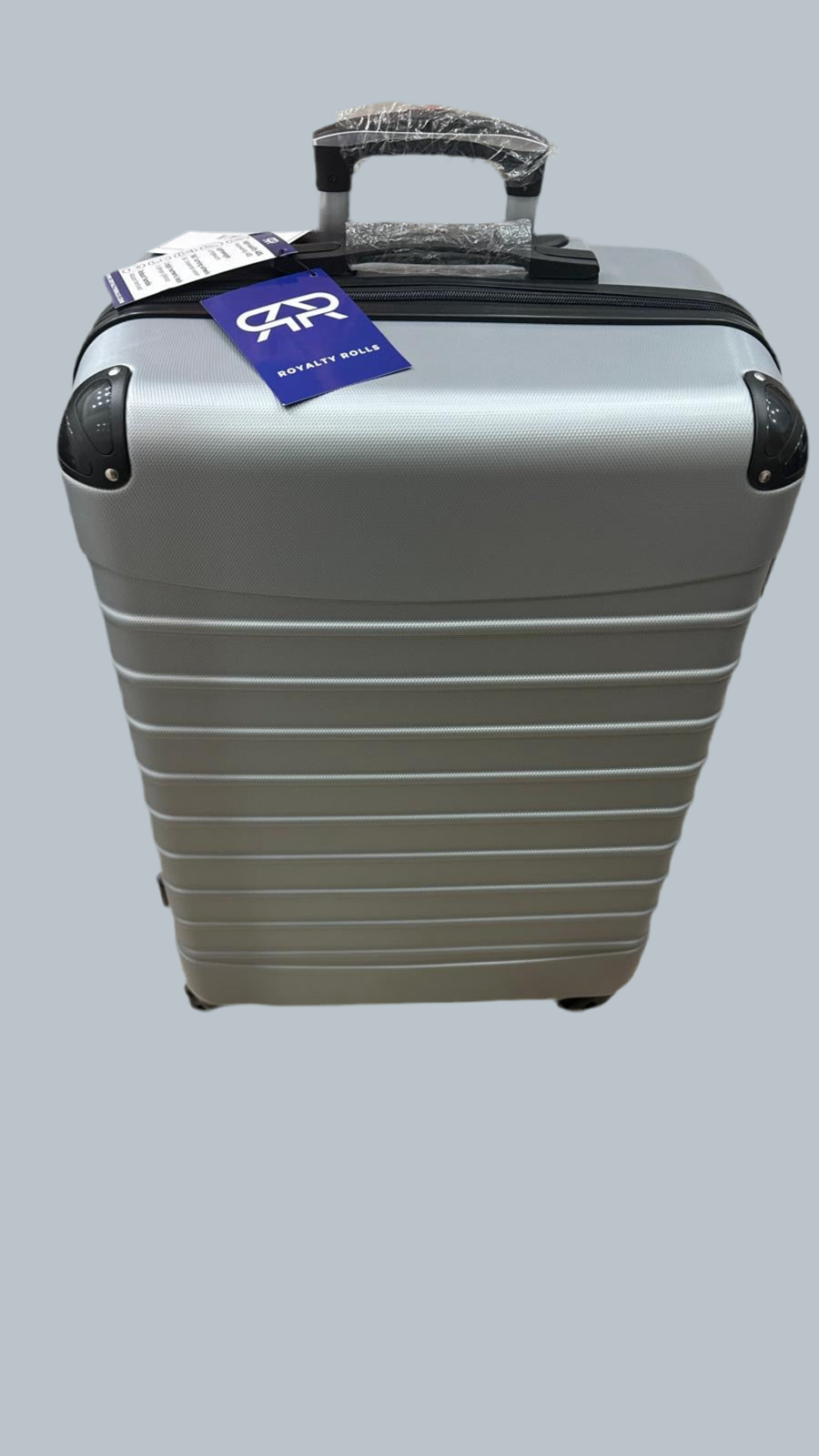 Valigia Trolley Singola GRIGIA/SILVER Taglia L